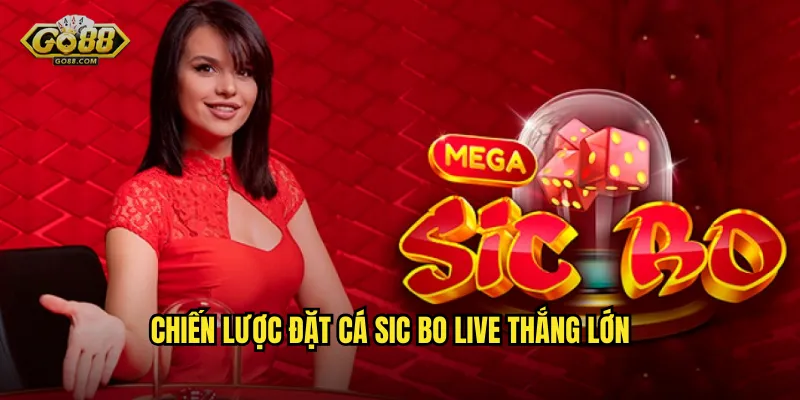 Sic Bo Live Tại go88 sh – Trải Nghiệm Casino Thực Tế Từ Nhà 3 Chiến Lược Đặt Cá Sic Bo Live Thắng Lớn